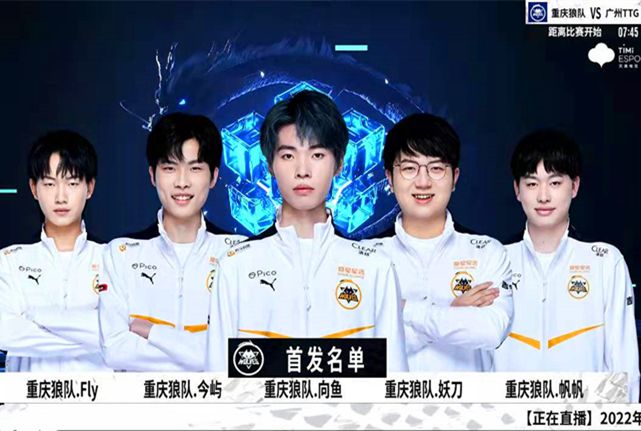 在职业生涯