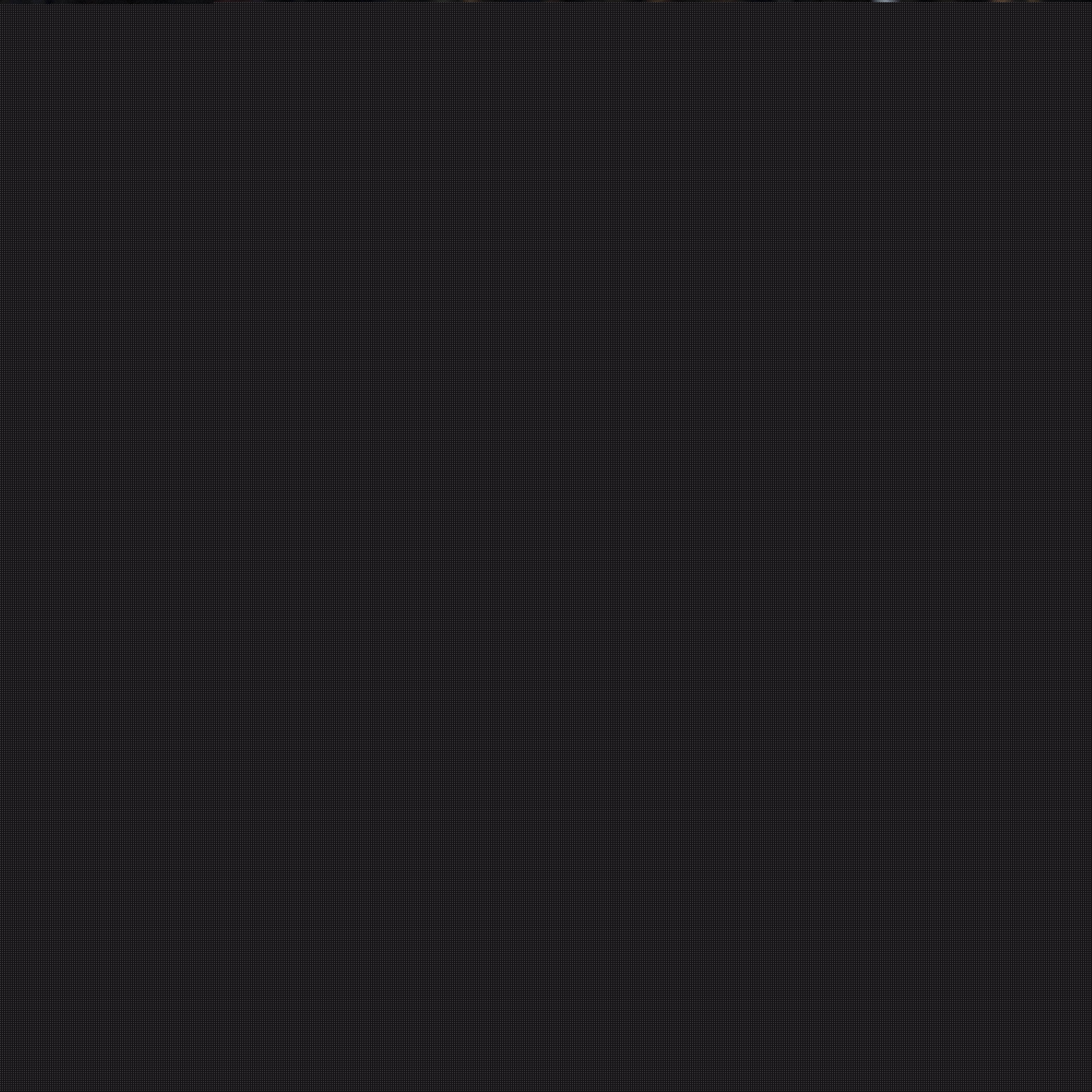 形成鲜明反